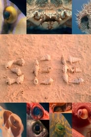 Poster of SEE image size 640x960