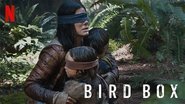 Backdrop of Bird Box image size 1280x720