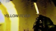 Yellow Fever: The Rise and Fall of the Giallo wallpaper 