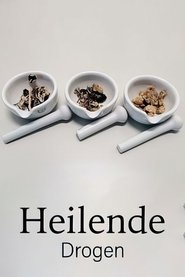 poster Drugs that Heal: Could Psychedelics Treat Depression?