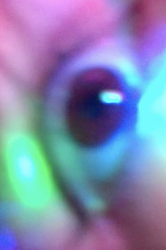 cortisol_inside cortisol_explosion excessive_cortisol cortisol_everywhere