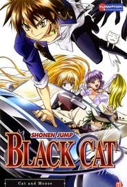 Poster of Black Cat image size 680x1000