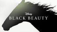 Black Beauty wallpaper 