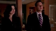 The Good Wife season 4 episode 15