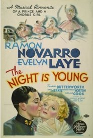 poster The Night Is Young