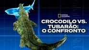 Crocos vs Requins wallpaper 