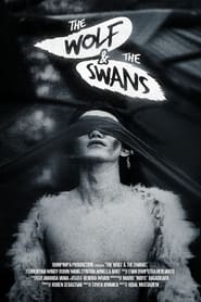 The Wolf & The Swans