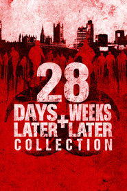 Poster image size 1000x1500