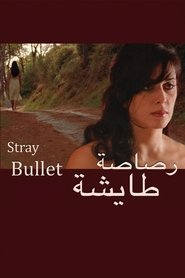 Poster of Stray Bullet image size 960x1440