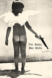 poster The Angel Was Born