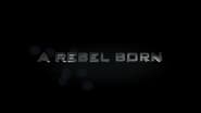 A Rebel Born wallpaper 