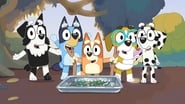 Bluey season 1 episode 13