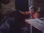 La Légende de James Adams et de l’Ours Benjamin season 1 episode 4