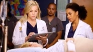 Grey's Anatomy season 13 episode 11