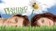 Pushing Daisies  