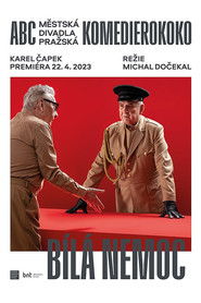 Bílá nemoc (divadelní záznam)