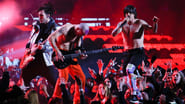 Red Hot Chili Peppers - Rock in Rio wallpaper 