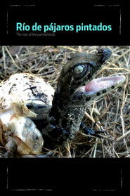 Río de Pájaros Pintados