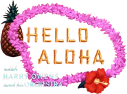 Logo of Hello Aloha image size 502x372