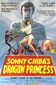 Poster of Dragon Princess image size 500x750