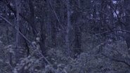 Backdrop of Sometime, Somewhere, in Bellwood image size 1583x891