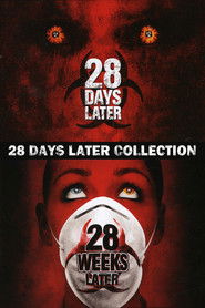 Poster image size 1000x1500