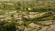 Living Landscapes: Bali wallpaper 