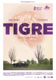 poster Tiger