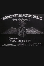movies-poster
