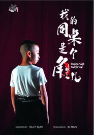 我的同桌是个角儿 