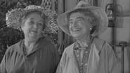 The Andy Griffith Show season 1 episode 17
