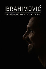 Ibrahimović – From Rosengård with More Than One Goal