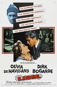 poster Libel