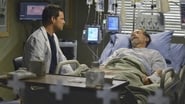 Grey's Anatomy season 10 episode 13