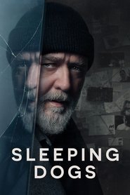 poster Sleeping Dogs