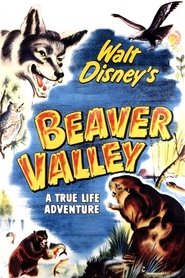 poster Beaver Valley