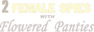 Logo of Two Female Spies with Flowered Panties image size 1912x657