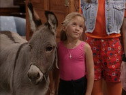 You Pet It, You Bought It