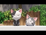 Chi mon chaton season 1 episode 9