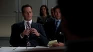 The Good Wife season 4 episode 8