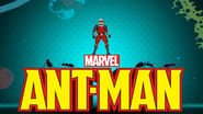 Ant-Man (Courts-Métrages)  