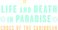 Logo of Life and Death in Paradise: Crocs of the Caribbean image size 1920x1018