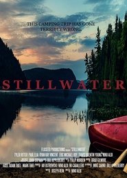 Poster of Stillwater image size 714x1000
