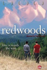 Poster of Redwoods image size 1437x2156