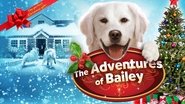 Backdrop of Adventures of Bailey: Christmas Hero image size 1920x1080