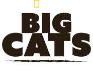 Logo of Big Cats: An Amazing Animal Family image size 1563x1300