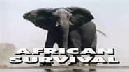 Predators of the Wild: African Survival wallpaper 