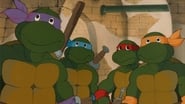 Teenage Mutant Ninja Turtles: The Epic Begins wallpaper 