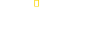 Logo of Meet the Chimps image size 1916x797