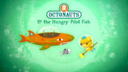 Les Octonauts season 1 episode 27